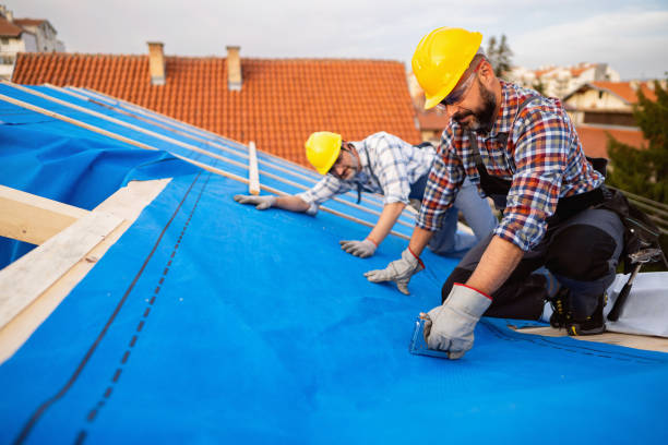 Roof Gutter Cleaning in Sturgeon, PA